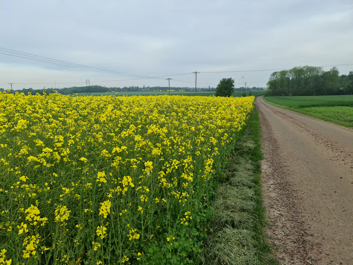Billebjer - Visual