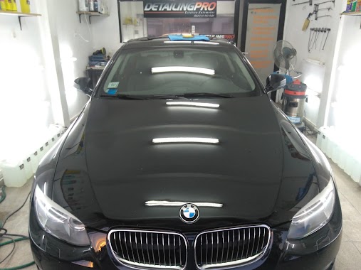 DetailingPro-lp, Author: facundo lopez