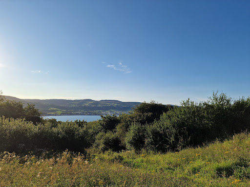 Straidkilly Nature Reserve - Thumbnail