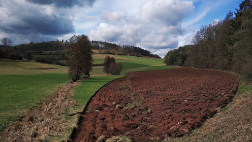 Stötzelsteich - Visual