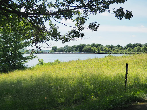 Former Wildlife Learning Center Gallery - United States