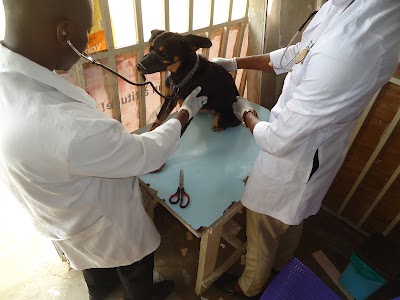 Photos of Vetwealth Concepts