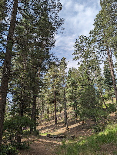 Hyde Memorial State Park RV Campground - Thumbnail