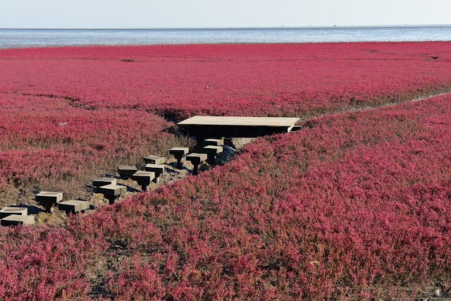 Red Beach National Landscape Gallery