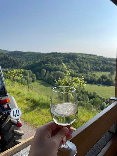 Weinmanufaktur Kasel eG - Thumbnail