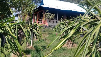 photo of Agrowisata Buah Naga