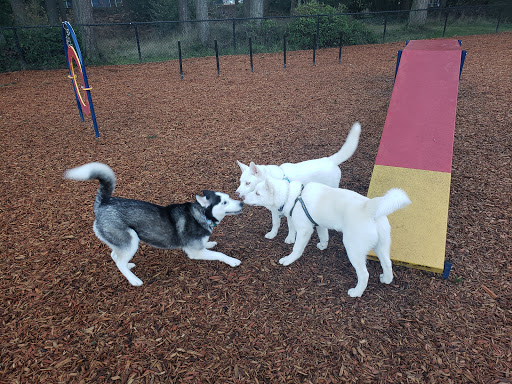 Rainier Woods Dog Park - Thumbnail