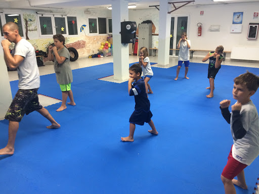PRO FIGHTING CESENATICO - Visual
