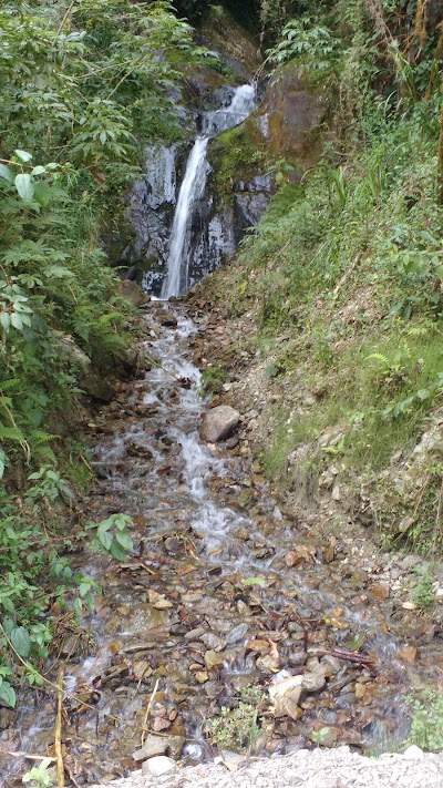 Photos of Alto El Tigre