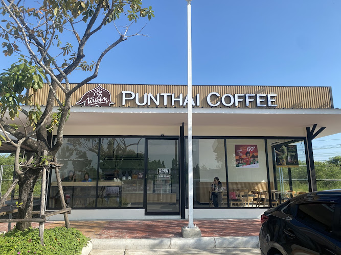 กาแฟพันธุ์ไทย สาขาสากเหล็ก3