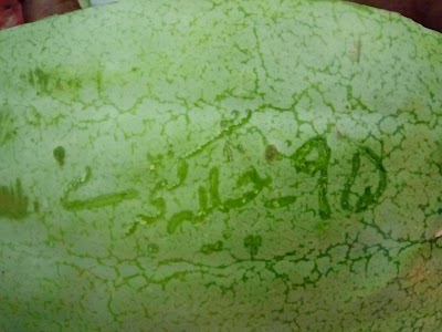 Photos of آقبراز