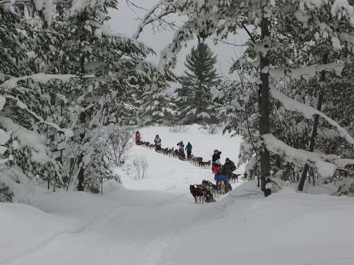 Husky Haven Kennels