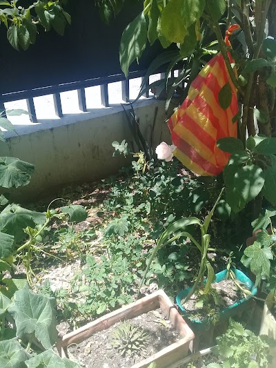 Photos of Fogata Park