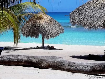Photos of Tropical Paradise Excursions