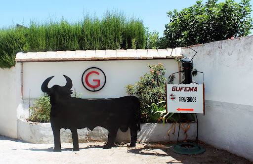 Gufema - Visual