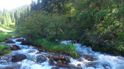 Photos of ZUM