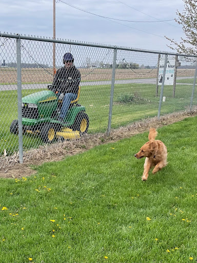 The Animal House of Delphos Ohio LLC - Thumbnail