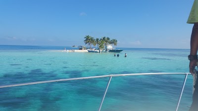 Photos of Seahorse Dive Shop