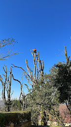 Photo n°25 de YD Services élagage/parc&jardin à Sarlat-la-Canéda (Paysagiste)