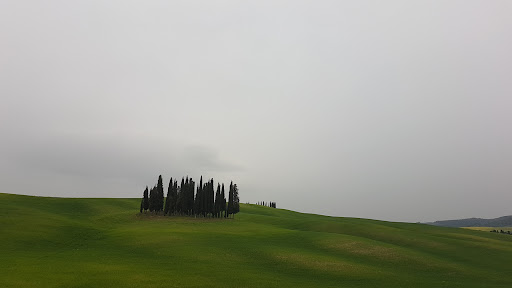AG Generali Chianciano Terme - Uffici di San Quirico d'Orcia - Thumbnail