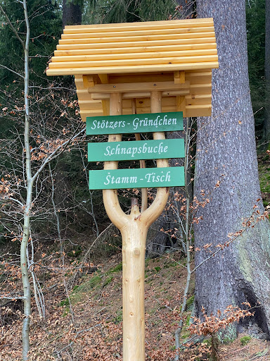 Schnapsbuche - Visual