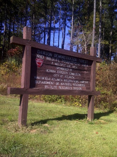 Photos of Dawson Forest Wildlife Management Area