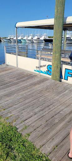 Dolphin Tour Parking