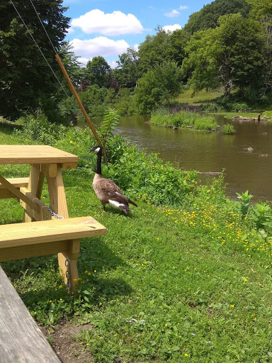 Burden Environmental Park - Thumbnail