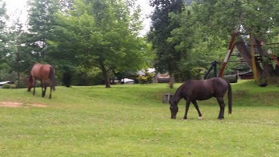 Photos of Glensheiling Caravan Park