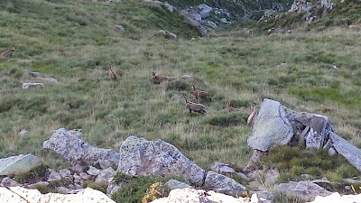 Photos of Monte Saccarello