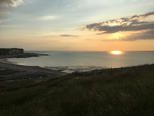 Photo n°46 de Camping Municipal Les Mouettes à Saint-Martin-aux-Buneaux (Terrain de camping)