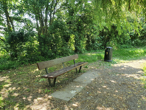 Chestnut Pond - Thumbnail