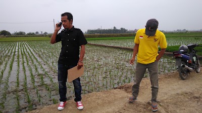 Photos of Temulawak