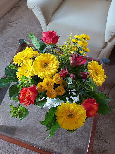 Blumen Röhringer im "Weißeritzpark" - Thumbnail