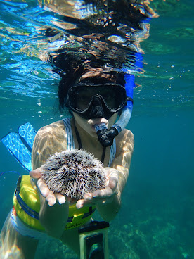 Jak Water Sports Bioluminescent Bay Tour & Rental by null