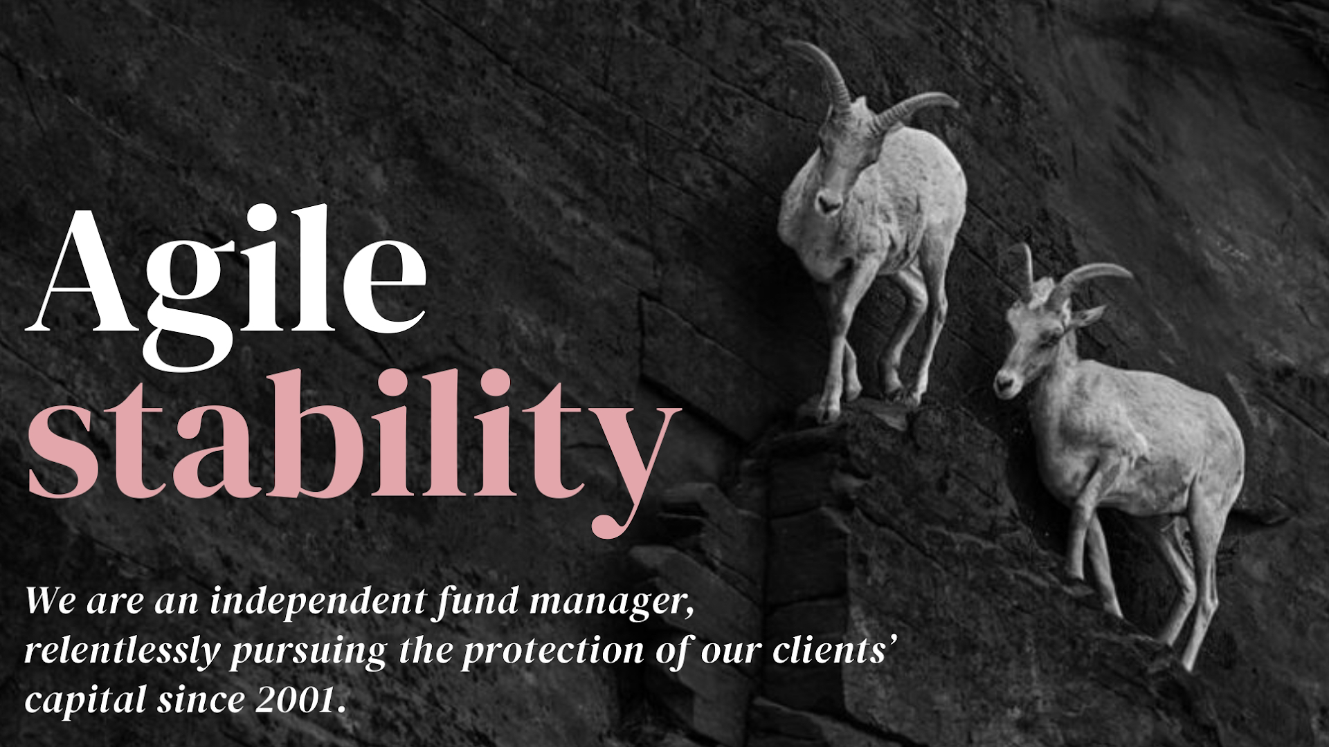 CG Asset Management Limited photo 1