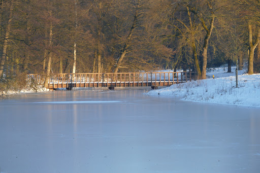 Staddijk - Visual