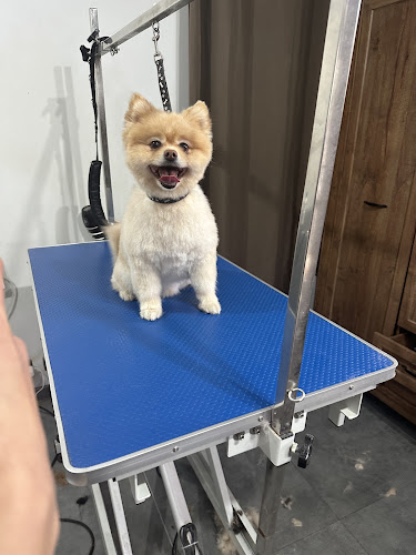 Pet's Island - Groomer & Spa - Inny