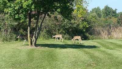 Photos of Lake Erie Metropark