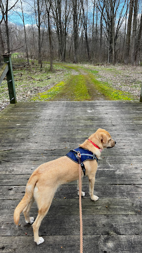 Lyon Oaks County Park - Thumbnail
