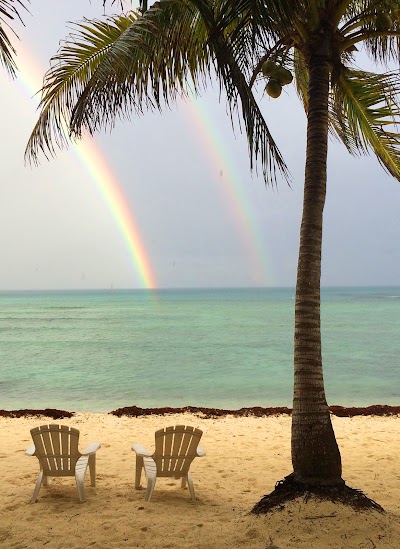 Photos of Del Sol Beachfront Hotel and Condos