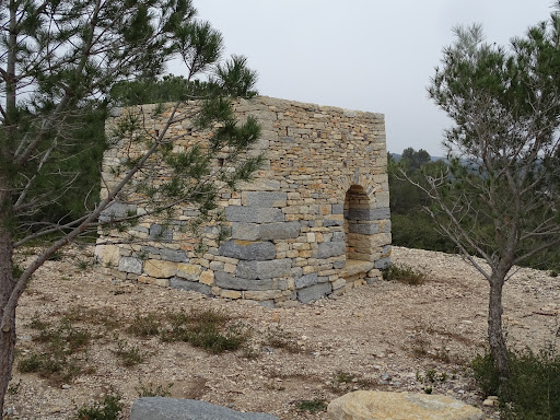 Observatoire de la Résilience - Thumbnail