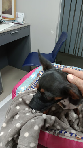 Veterinary Clinic Zuu - Thumbnail