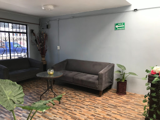 CEDCAS - Visual