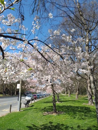 Hagley Park South - Thumbnail