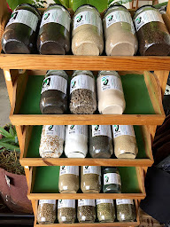 Photo n°13 de Terralba à Villematier (Jardinerie)