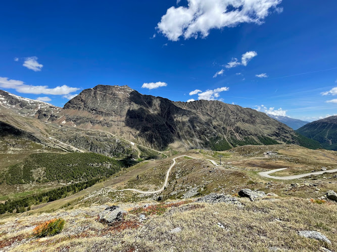 Dr. med. R. Fabisiak