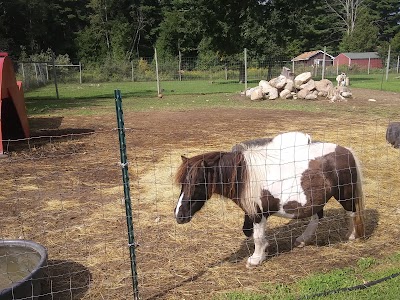 Timber Creek Petting Farm