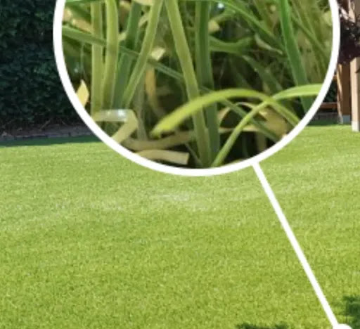 van Buul Sport, Tuin en Kunstgras - Thumbnail