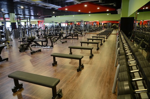Palestra McFIT Mestre Carpenedo